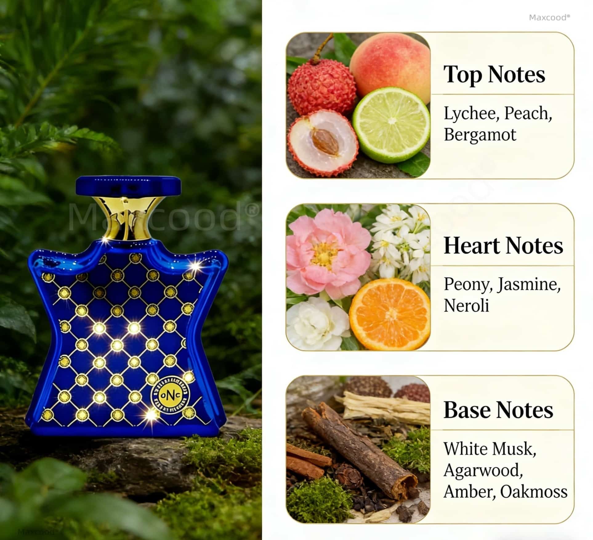 Parfum Jeruk dan Bunga Wangi T - Perfume Fragrance For Girls ulasan dan harga