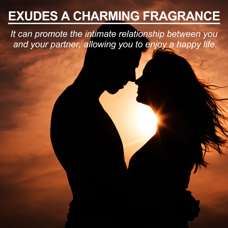 Roxelis Cologne Pria dengan ar - Perfume Light Fragrance ulasan dan harga