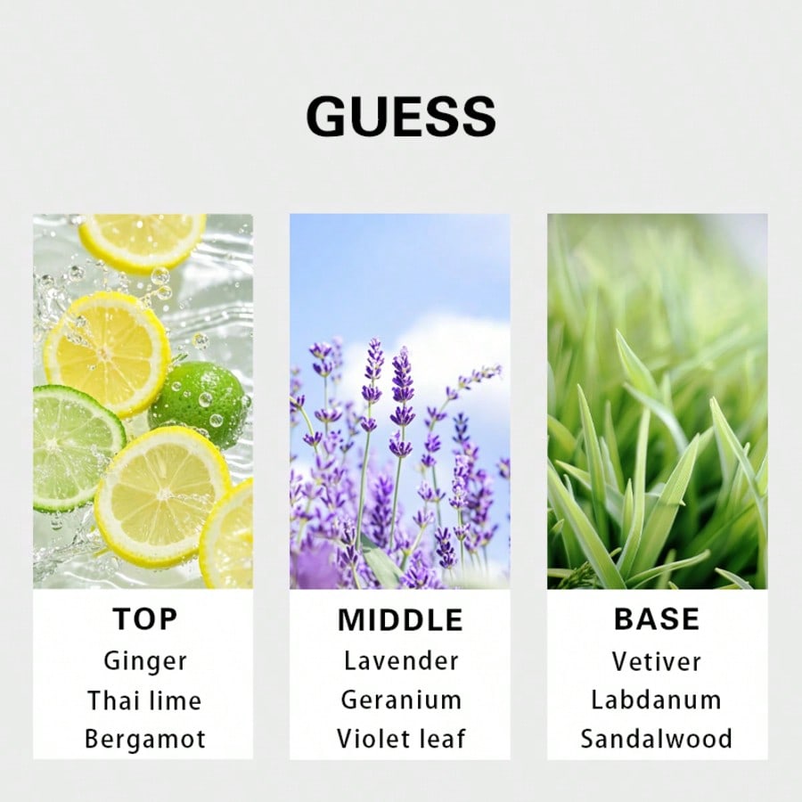Guess Forever Men Eau De Toile - Fragrance Perfume Note ulasan dan harga